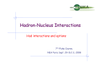 Hadron-Nucleus Interactions