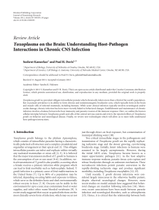 Understanding Host-Pathogen Interactions in Chronic CNS Infection
