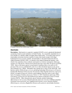 Marl Prairie - Florida Natural Areas Inventory