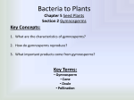Bacteria to Plants 5-2 Gymnosperms Full