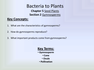 Bacteria to Plants 5-2 Gymnosperms Full