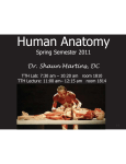 Human Anatomy - TheVogts.com