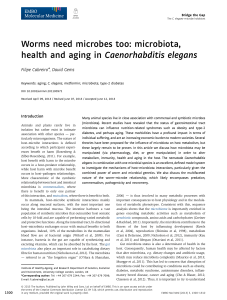 Worms need microbes too: microbiota, health and aging in