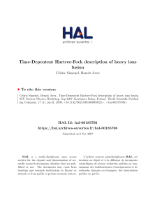 Time-Depentent Hartree-Fock description of heavy ions fusion