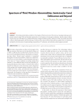 Spectrum of Third Window Abnormalities: Semicircular Canal