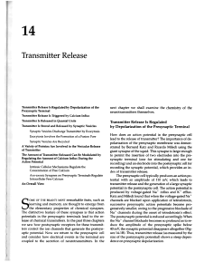 Transmitter Release