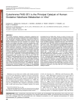 Cytochrome P450 2E1 is the Principal Catalyst of Human Oxidative