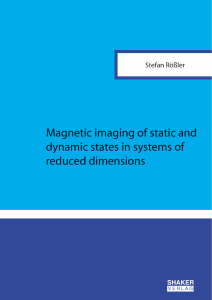 2 Magnetic Imaging - Fachbereich Physik