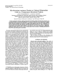 Mycobacterium marinum persists in cultured mammalian cells in a