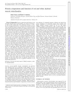 Protein composition and function of red and white skeletal - AJP-Cell