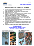 How to Submit Plant Samples for Diagnosis