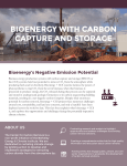 bioenergy with carbon capture and storage