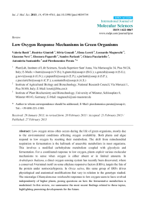 Low Oxygen Response Mechanisms in Green Organisms