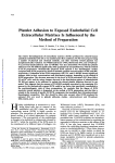 Platelet Adhesion to Exposed Endothelial Cell Extracellular Matrixes