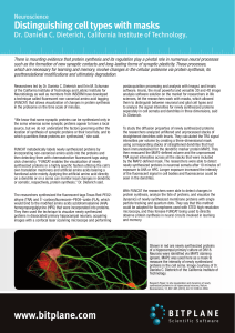 Distinguishing cell types with masks