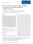 Human mitochondrial leucyl tRNA synthetase can suppress non