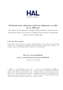 Podosome-type adhesions and focal adhesions, so alike yet so