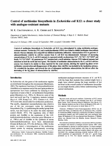 Control of methionine biosynthesis in Escherichia coli