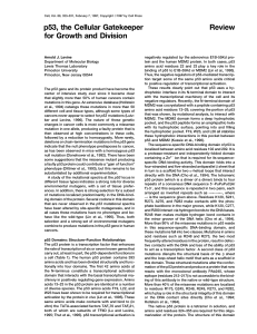p53, the Cellular Gatekeeper Review for Growth and Division