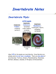 Invertebrate Notes - Parkway C-2