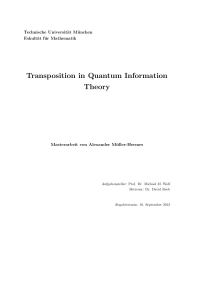 Transposition in Quantum Information Theory