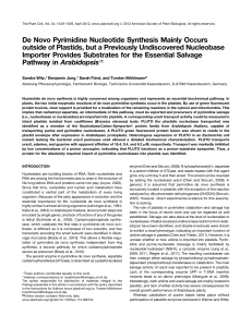 De Novo Pyrimidine Nucleotide Synthesis Mainly