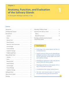 Anatomy, Function, and Evaluation of the Salivary Glands