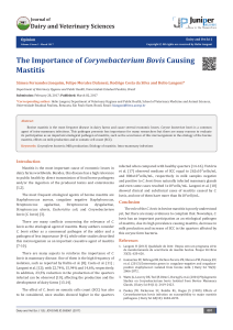 The Importance of Corynebacterium Bovis Causing Mastitis