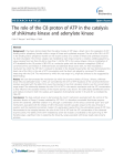 The role of the C8 proton of ATP in the catalysis of shikimate kinase