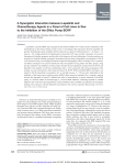 A Synergistic Interaction between Lapatinib and Chemotherapy