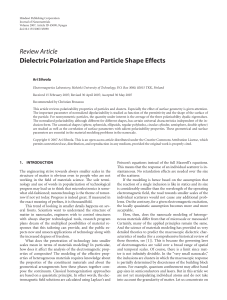 Dielectric Polarization and Particle Shape Effects