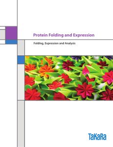 Protein Folding and Expression