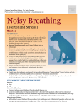 Noisy Breathing - Milliken Animal Clinic