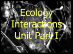 Interactions within Ecosystems