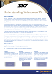 Understanding Widescreen TV