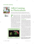ABA coming to floriculture - MSU Floriculture