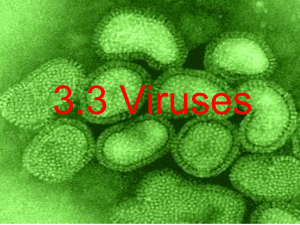 3U 3.3a Viruses