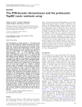 The PIN-domain ribonucleases and the prokaryotic VapBC toxin