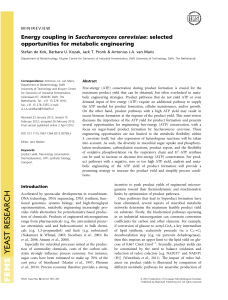 Energy coupling in Saccharomyces cerevisiae