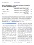 Meaningful auditory information enhances perception of visual