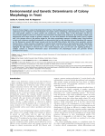 Environmental and Genetic Determinants of Colony