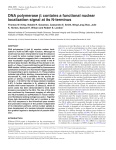 DNA polymerase β contains a functional nuclear localization signal