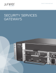 Security Services Gateways