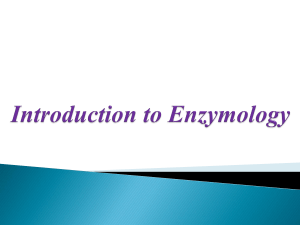 Some factors affecting polyphenol oxidase activity