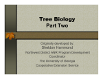 Tree Biology 2