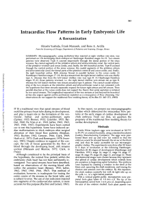Intracardiac Flow Patterns in Early Embryonic Life