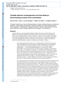 Candida albicans morphogenesis and host defence