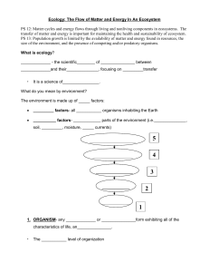 Basic Ecology Notes WS