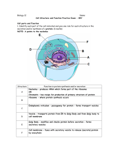 Biology 12 Name: Cell Structure and Function Practice Exam