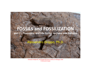 Paleontology and Life, part 2
